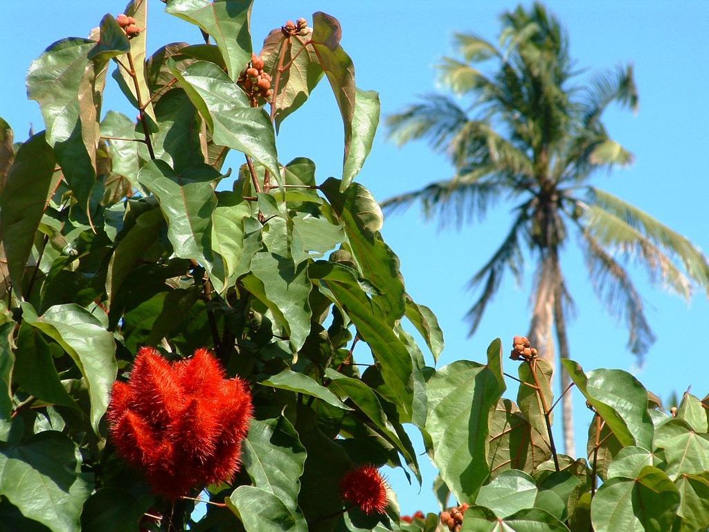 Nocleg ze śniadaniem Princess Salme Zanzibar
